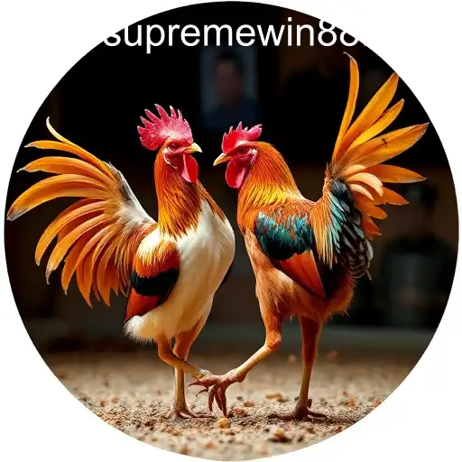 Unveiling the Dynamics of Online Sabong and Supremewin88